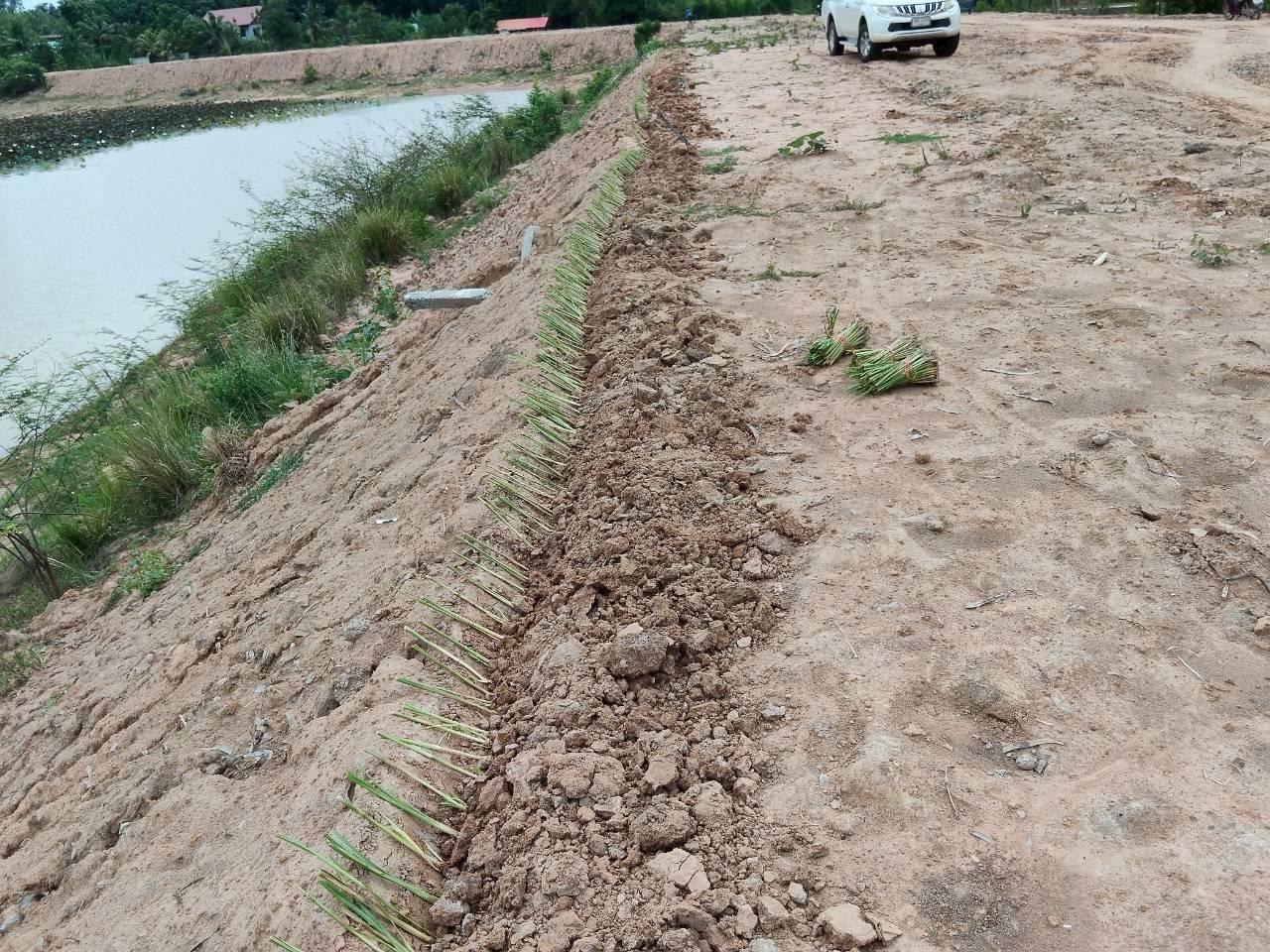 ภาพประกอบที่ 13