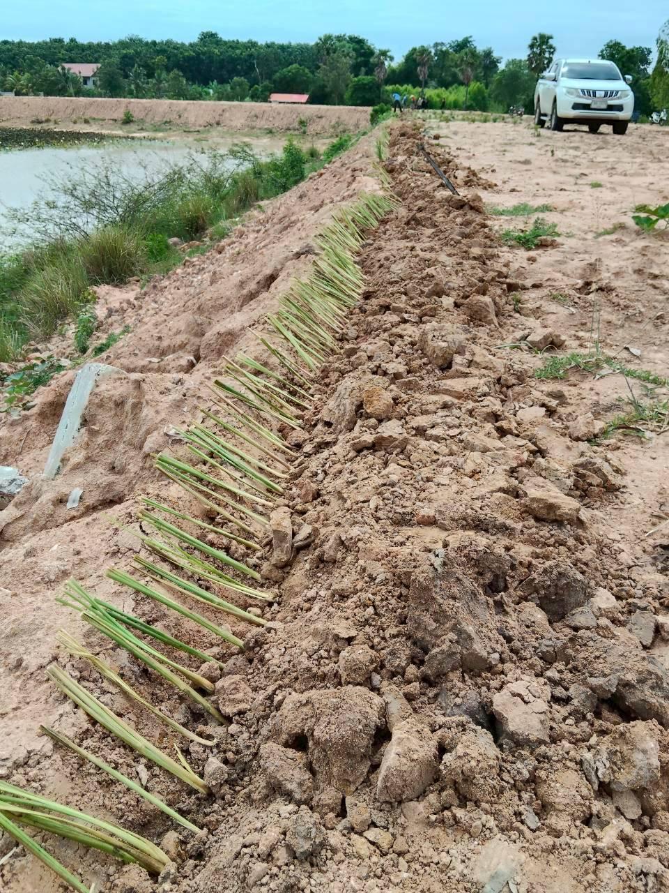 ภาพประกอบที่ 15