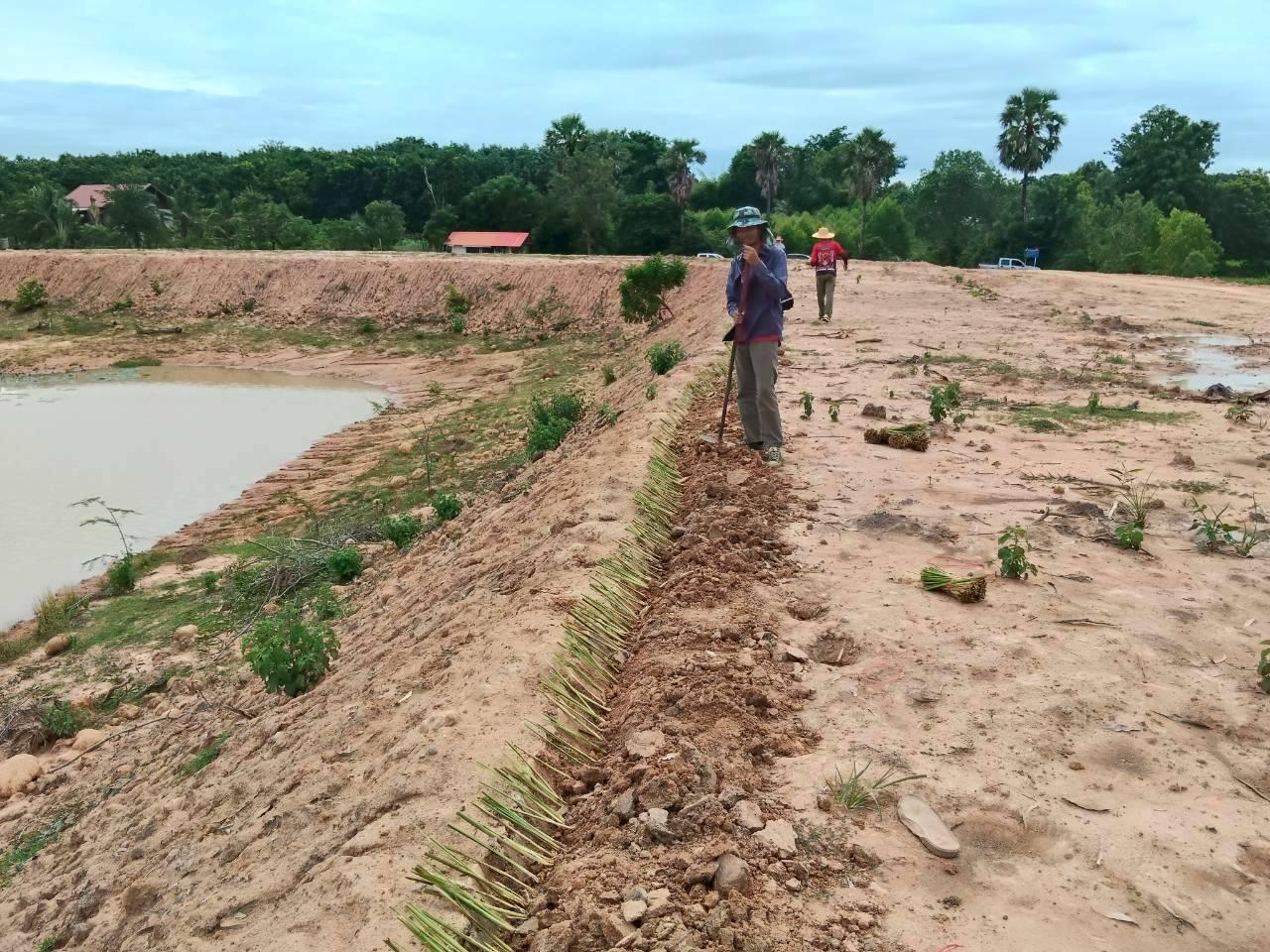 ภาพประกอบที่ 17