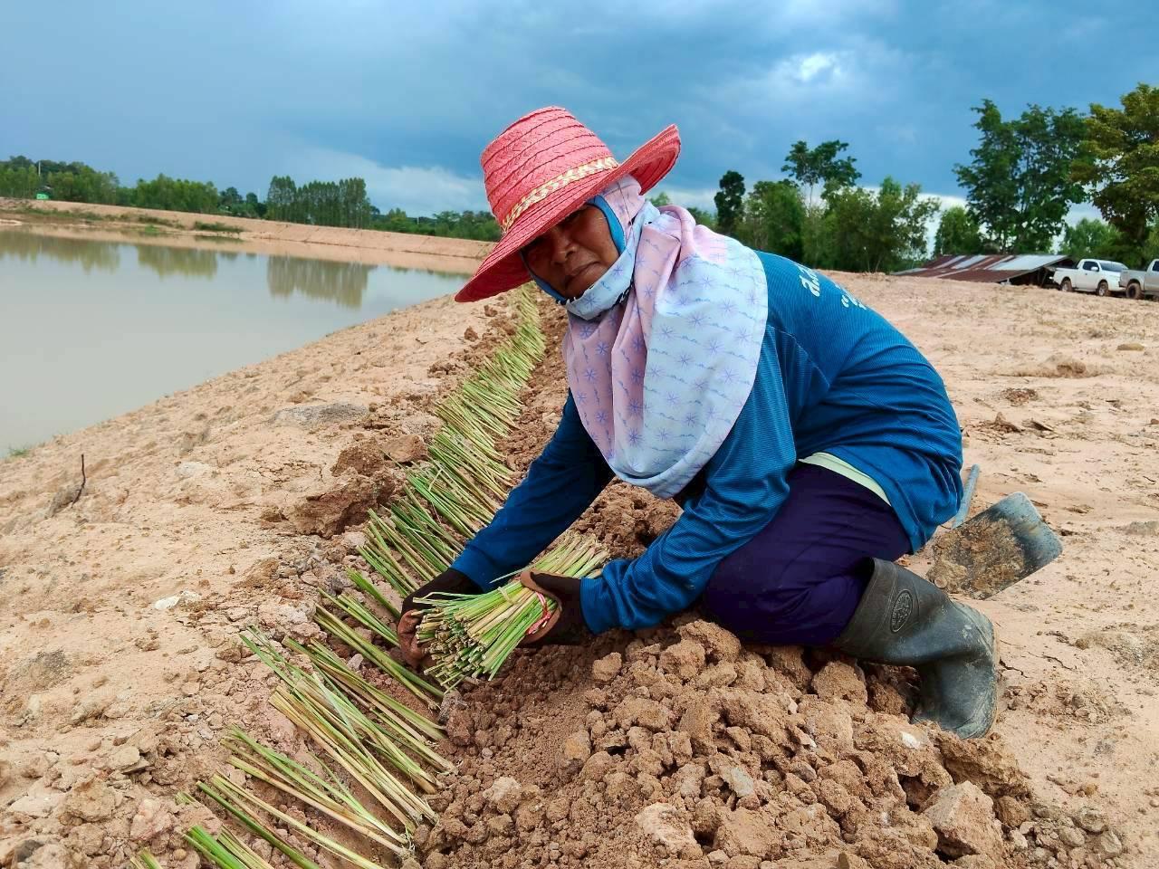 ภาพประกอบที่ 21