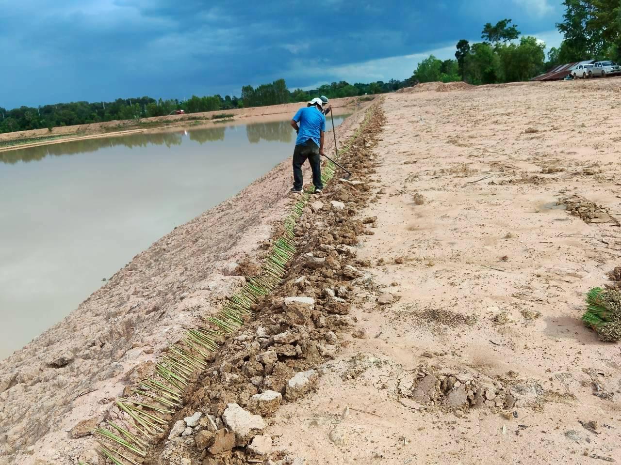 ภาพประกอบที่ 22