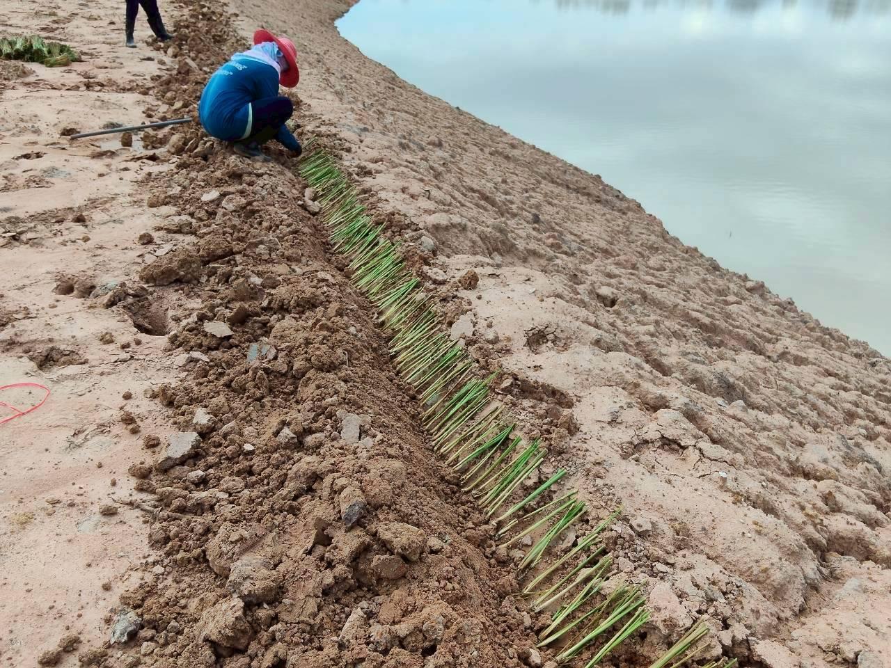 ภาพประกอบที่ 24