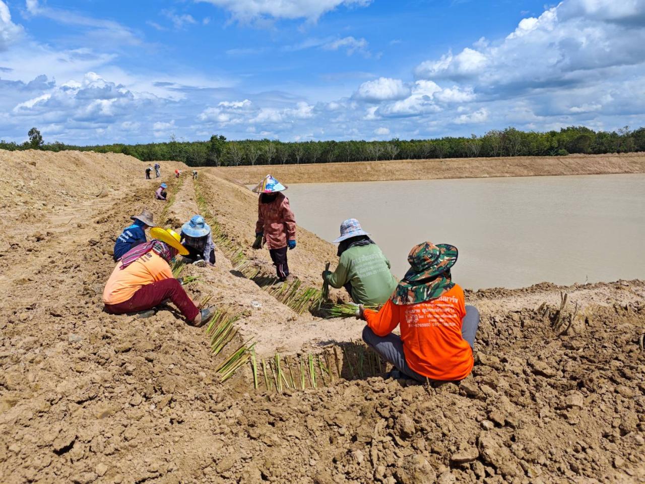ภาพประกอบที่ 12