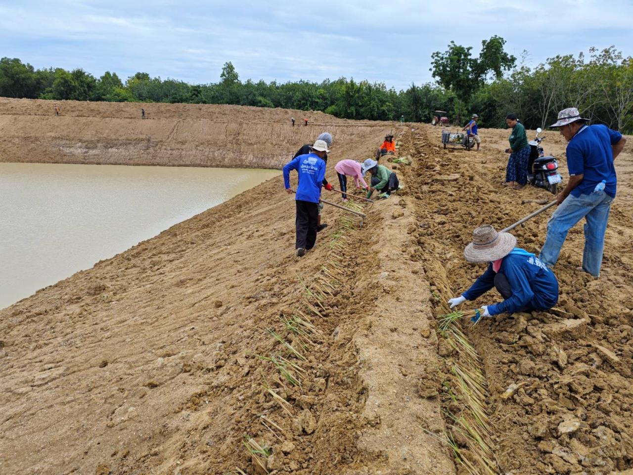 ภาพประกอบที่ 13