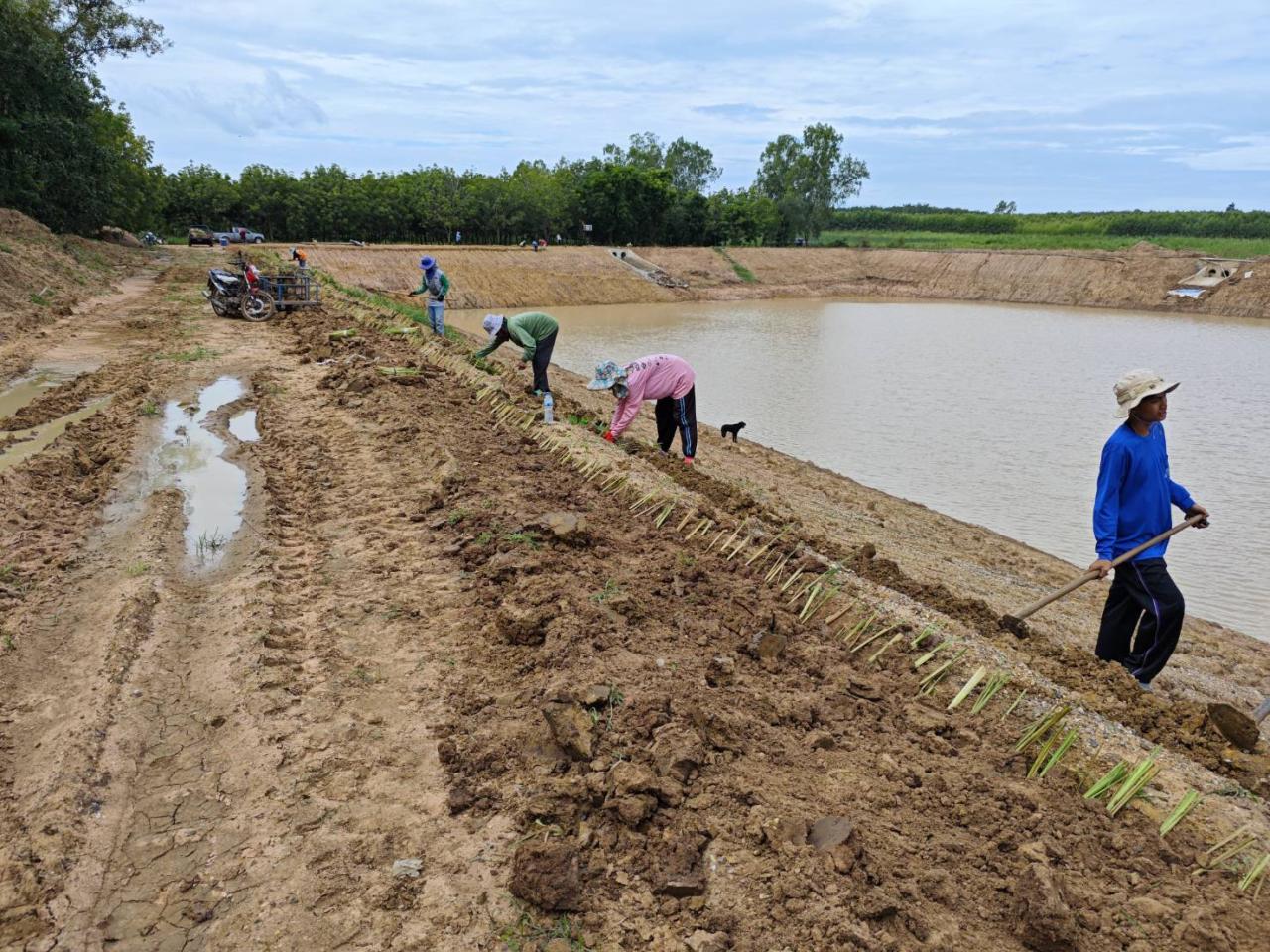 ภาพประกอบที่ 15