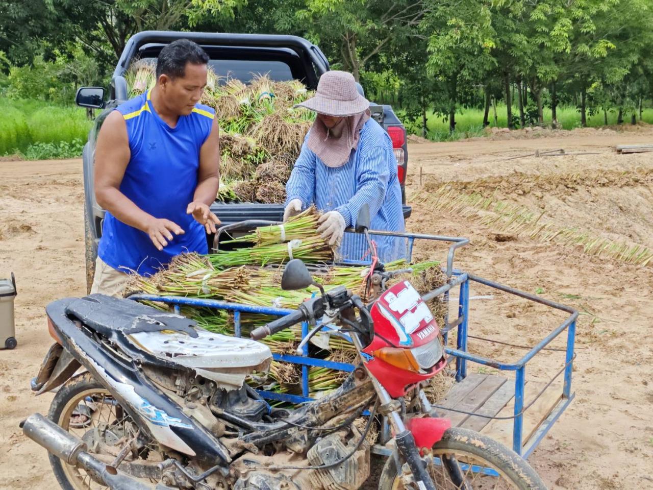 ภาพประกอบที่ 18