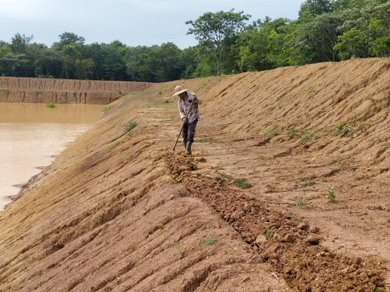 ภาพประกอบที่ 0