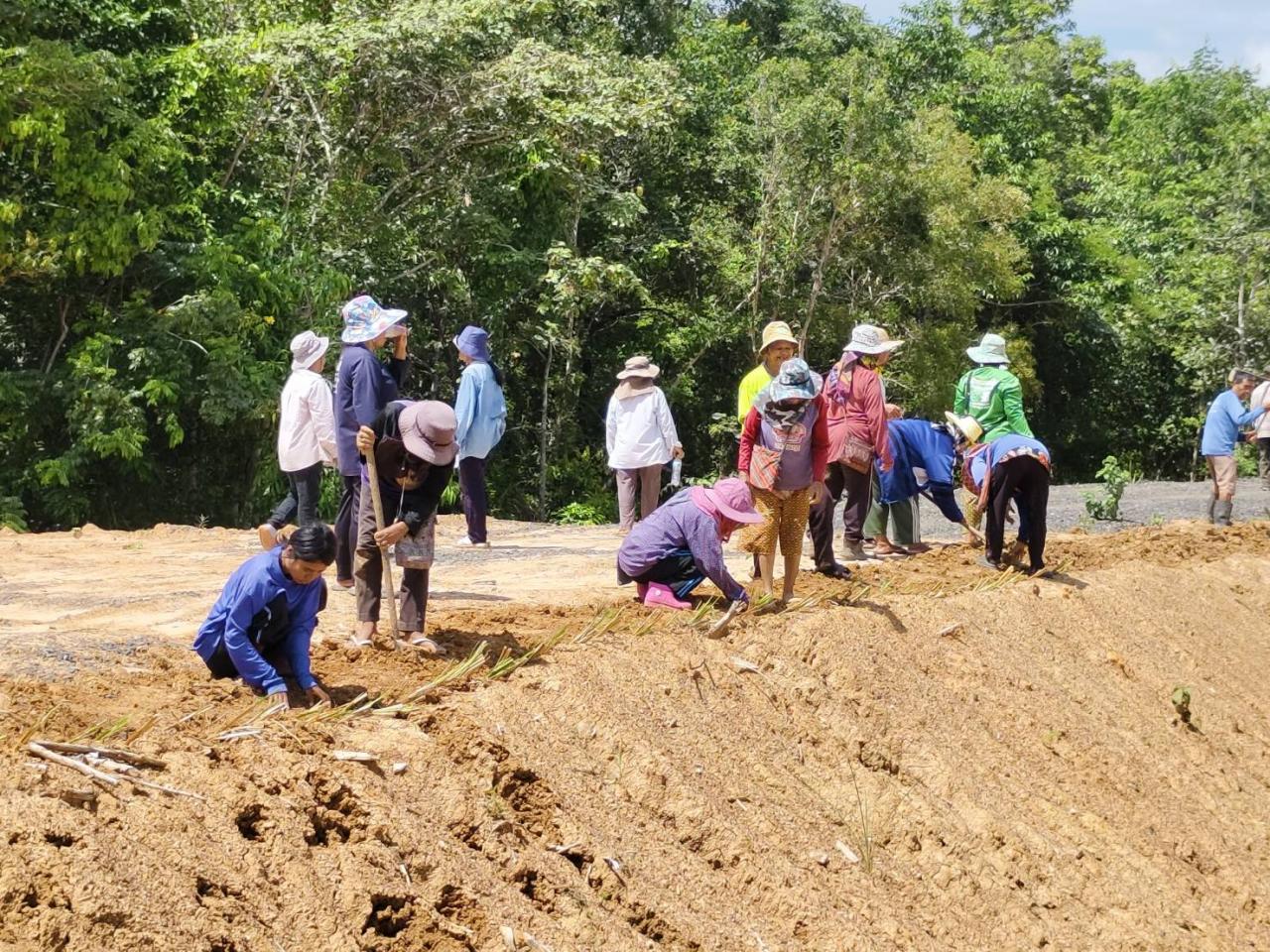 ภาพประกอบที่ 3
