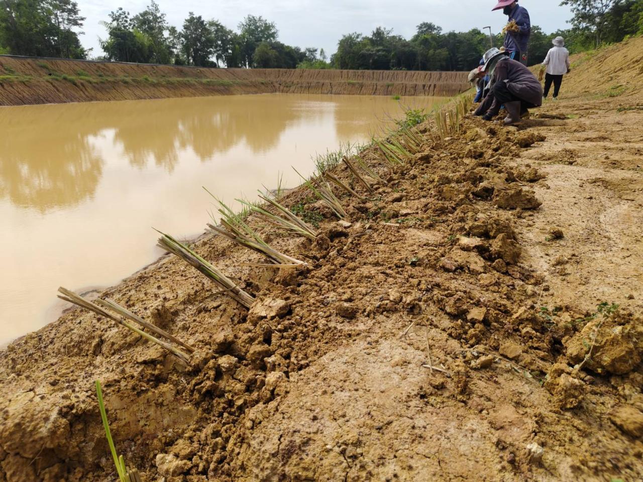 ภาพประกอบที่ 7