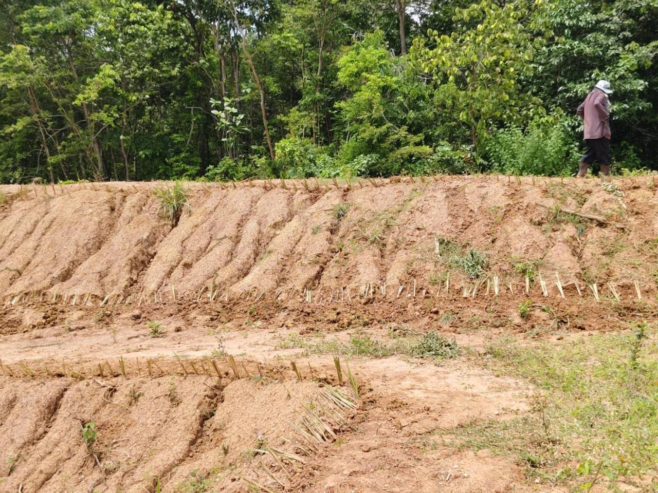 ภาพประกอบที่ 8