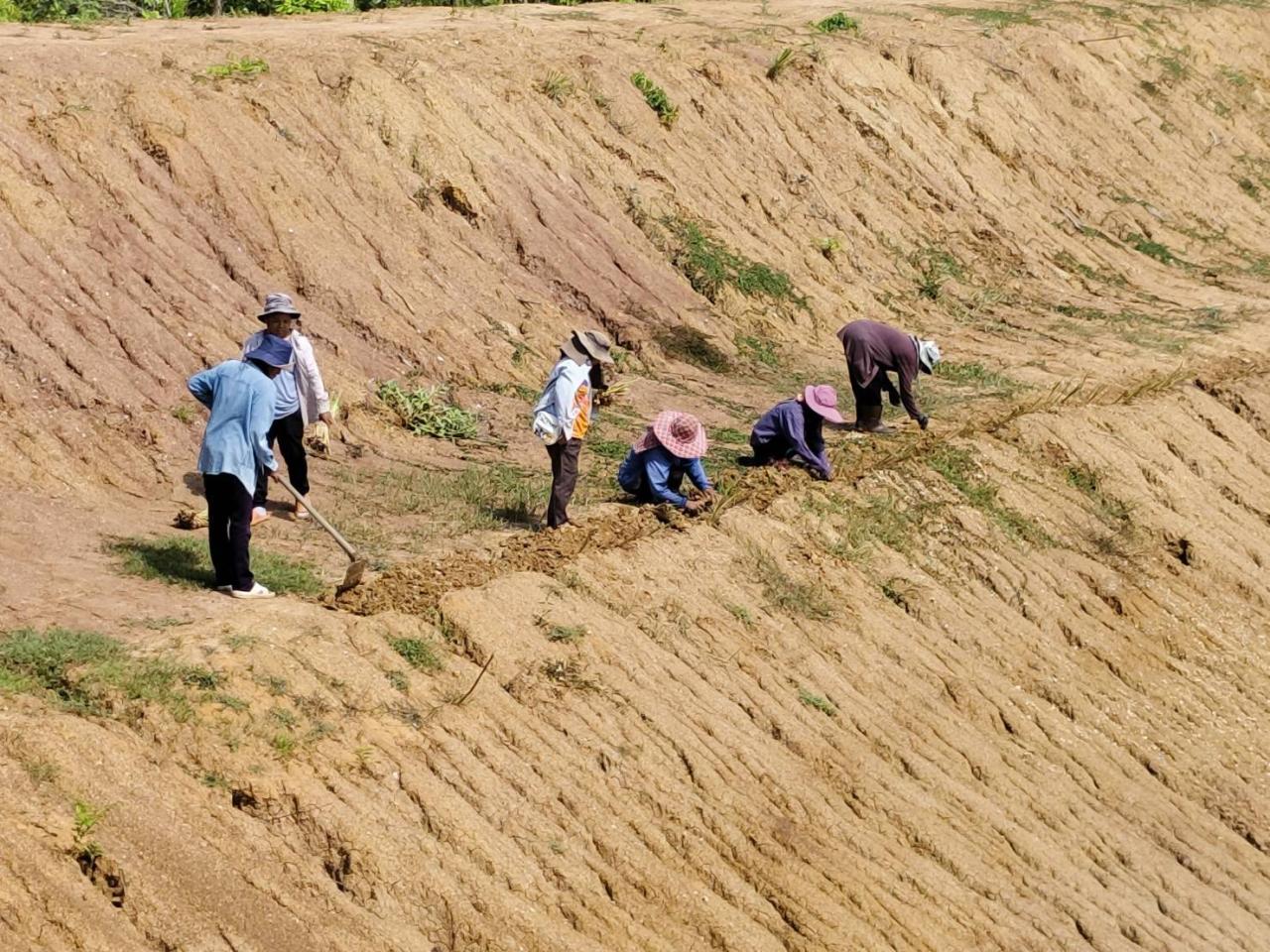 ภาพประกอบที่ 9