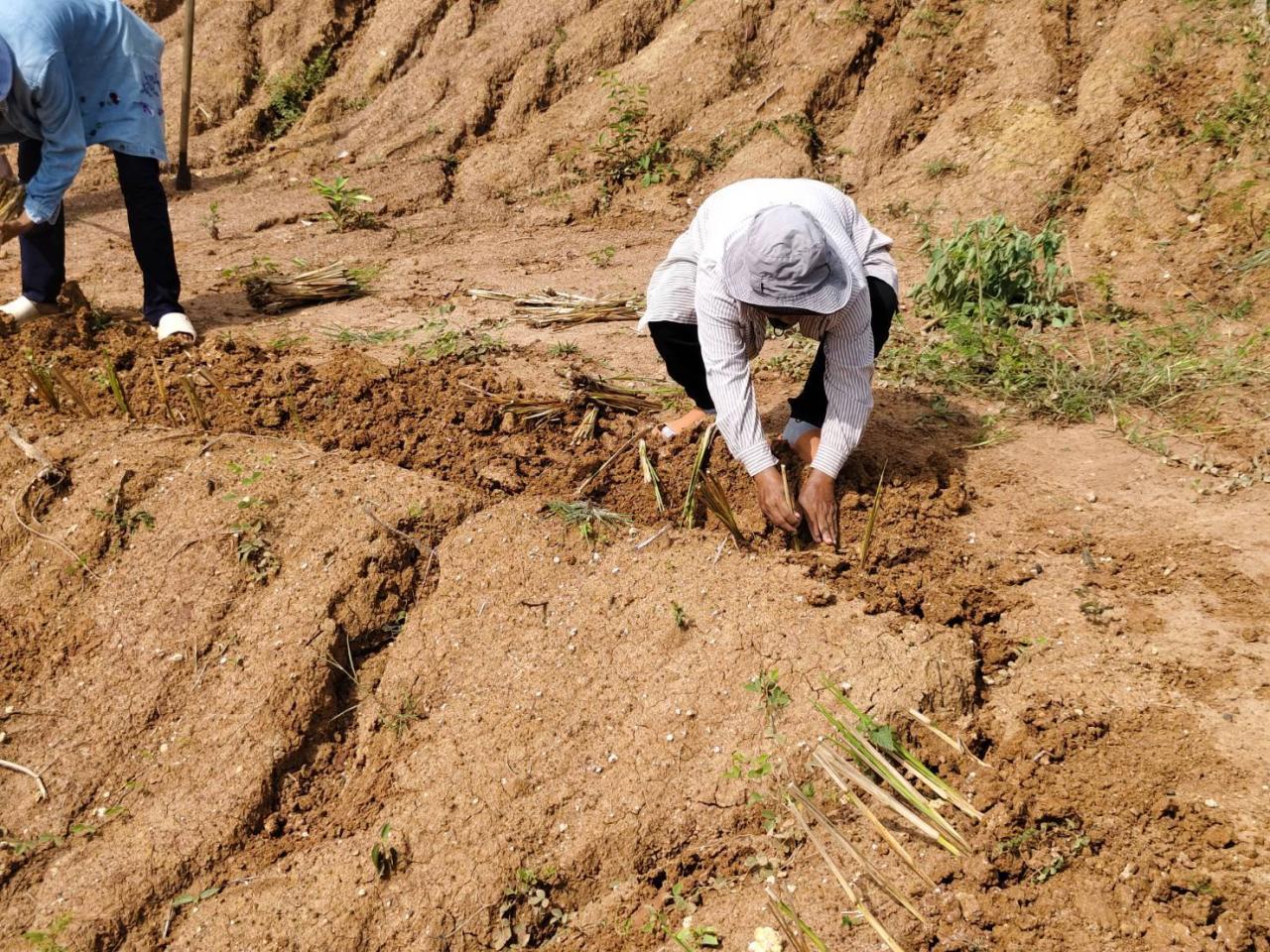 ภาพประกอบที่ 10