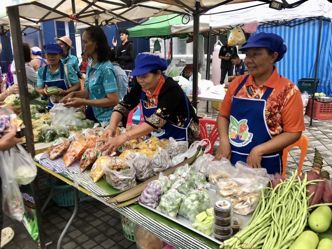 ภาพประกอบที่ 8