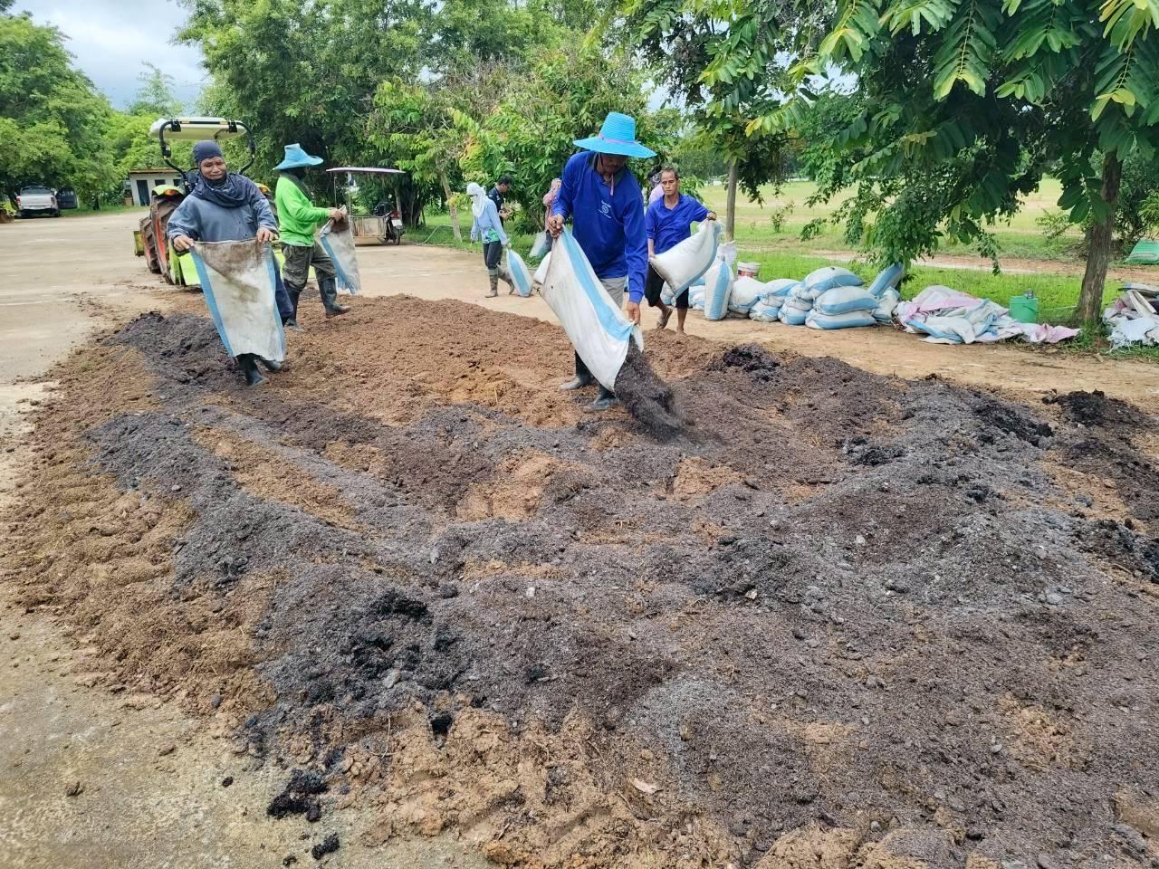 ภาพประกอบที่ 8