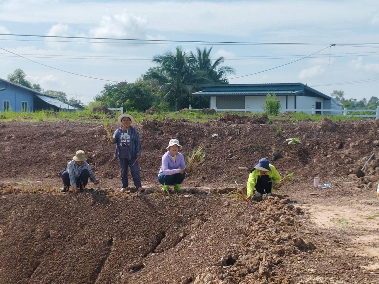 ภาพประกอบที่ 1