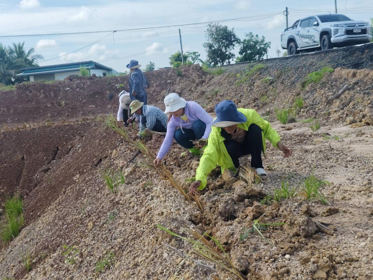 ภาพประกอบที่ 2