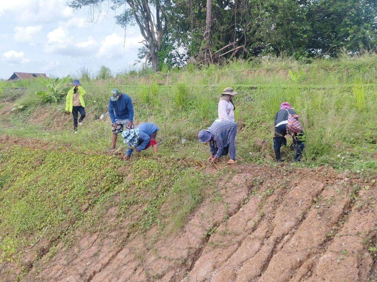 ภาพประกอบที่ 4