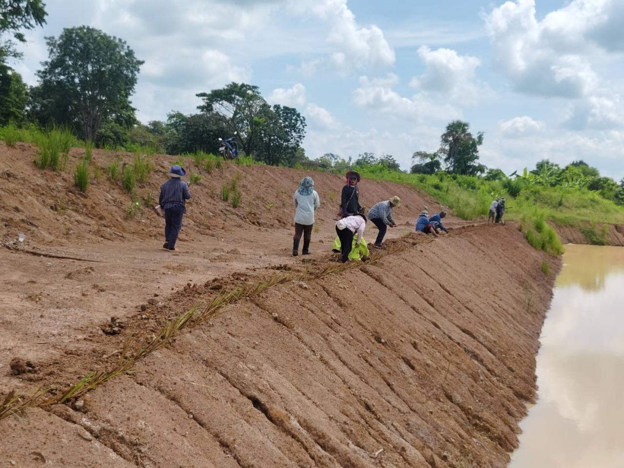 ภาพประกอบที่ 5