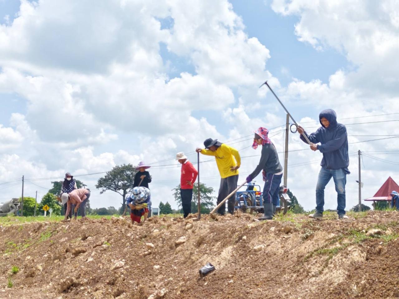 ภาพประกอบที่ 6