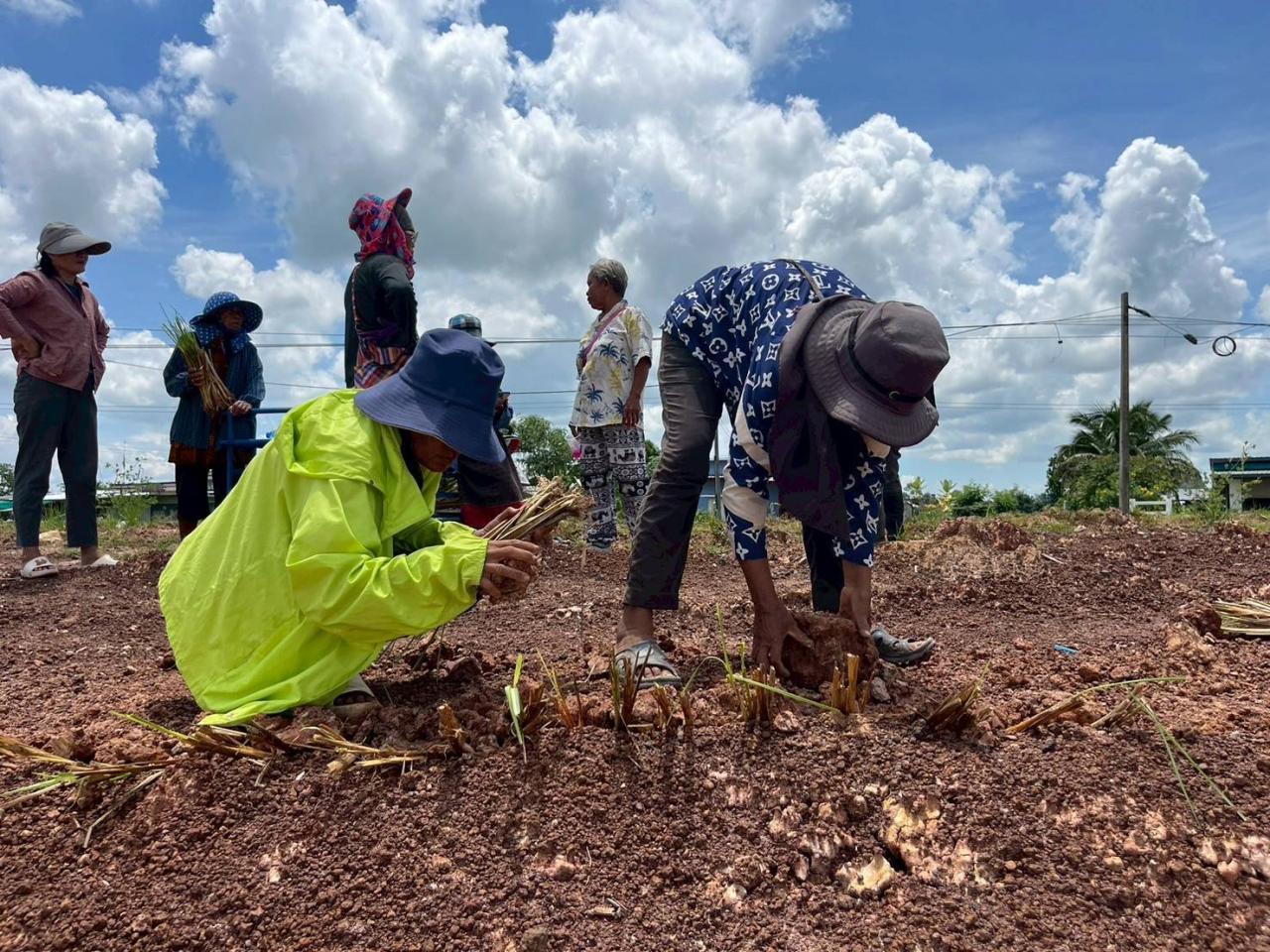 ภาพประกอบที่ 11