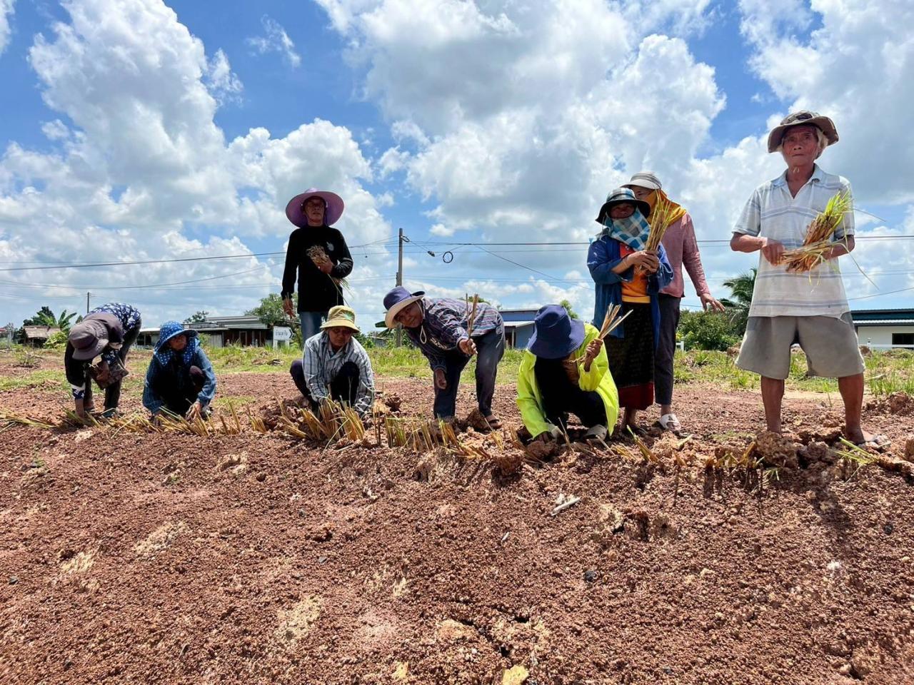 ภาพประกอบที่ 12