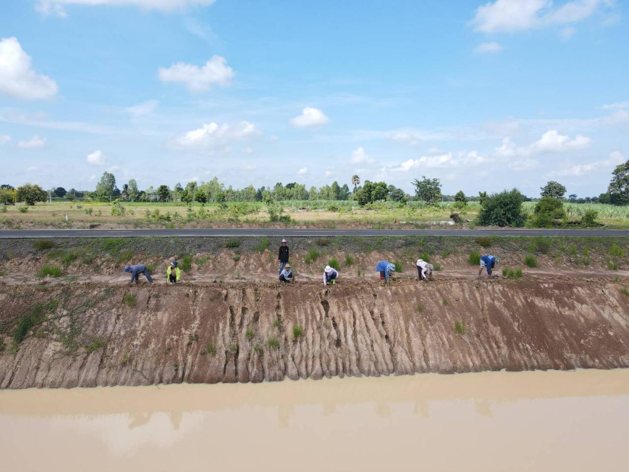 ภาพประกอบที่ 13