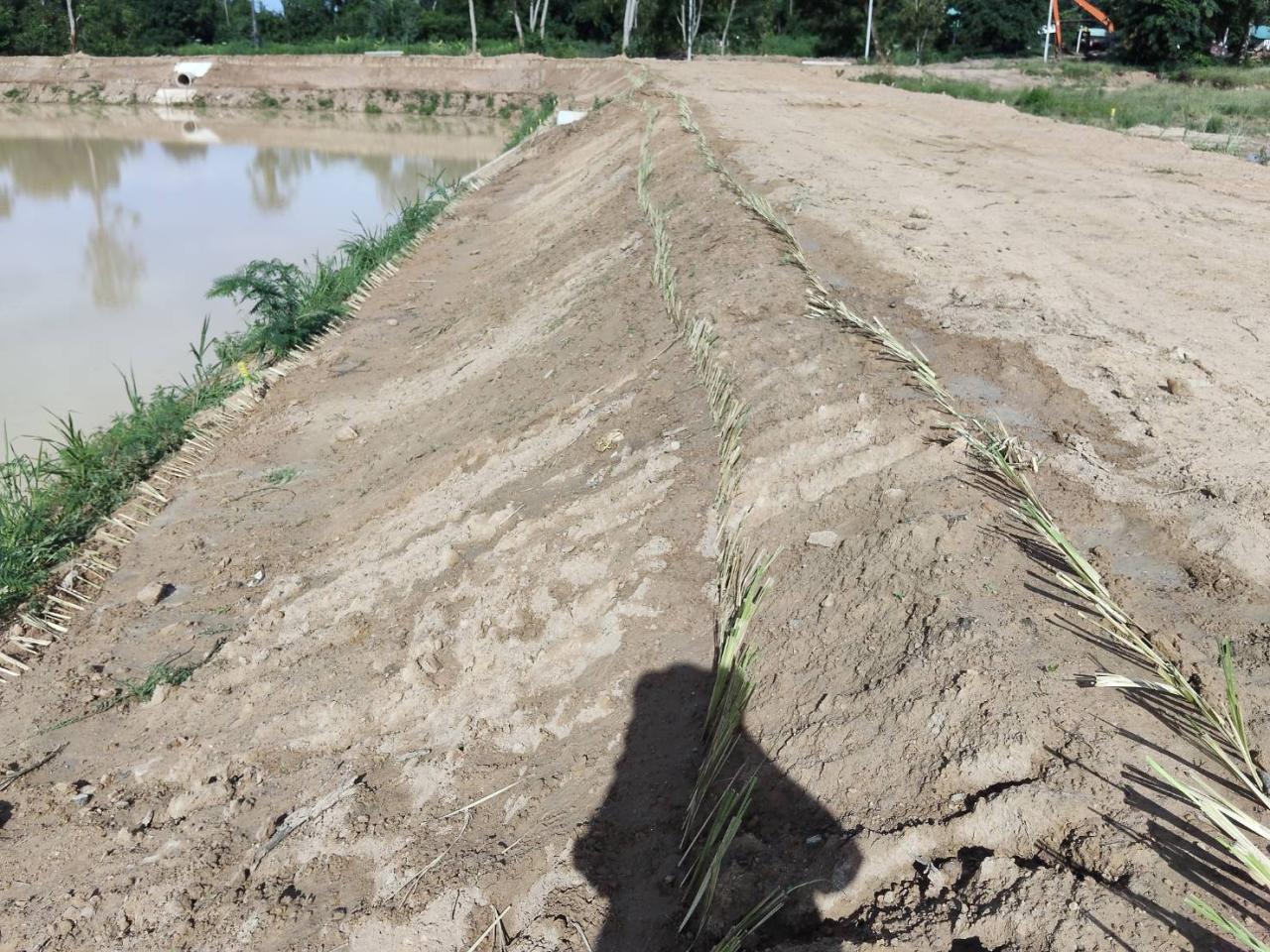 ภาพประกอบที่ 5