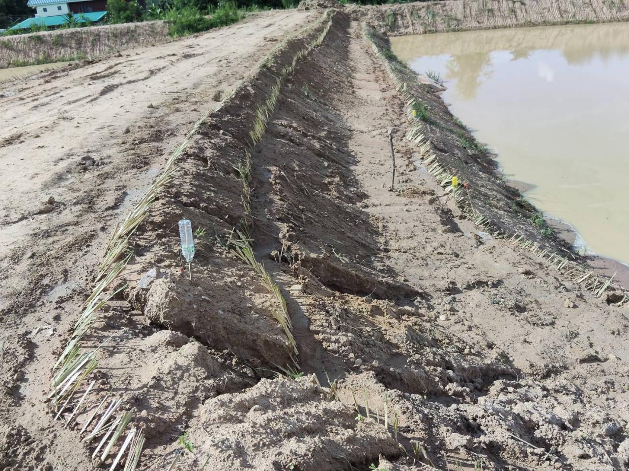 ภาพประกอบที่ 6