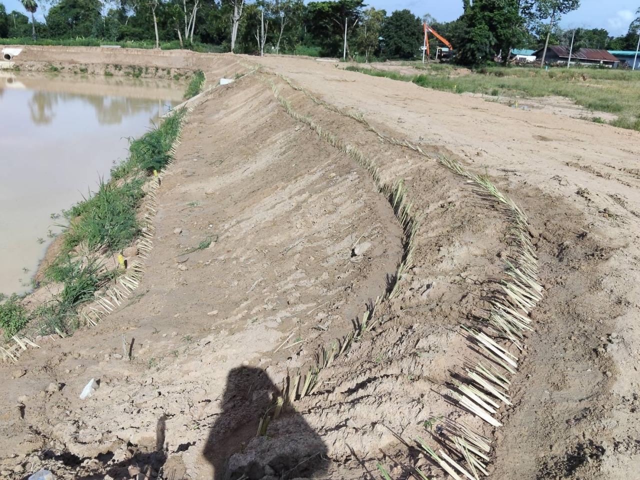 ภาพประกอบที่ 7