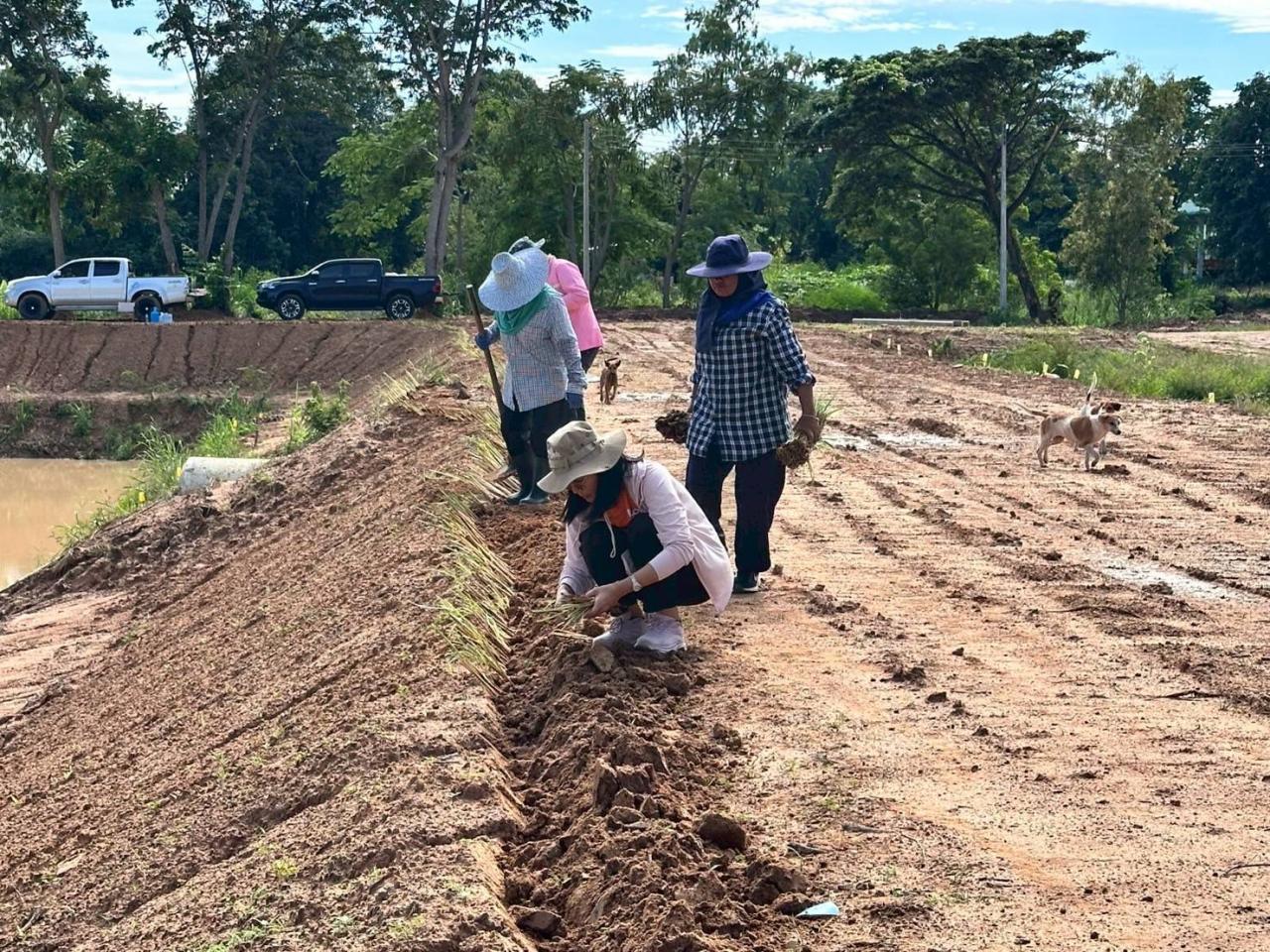 ภาพประกอบที่ 8
