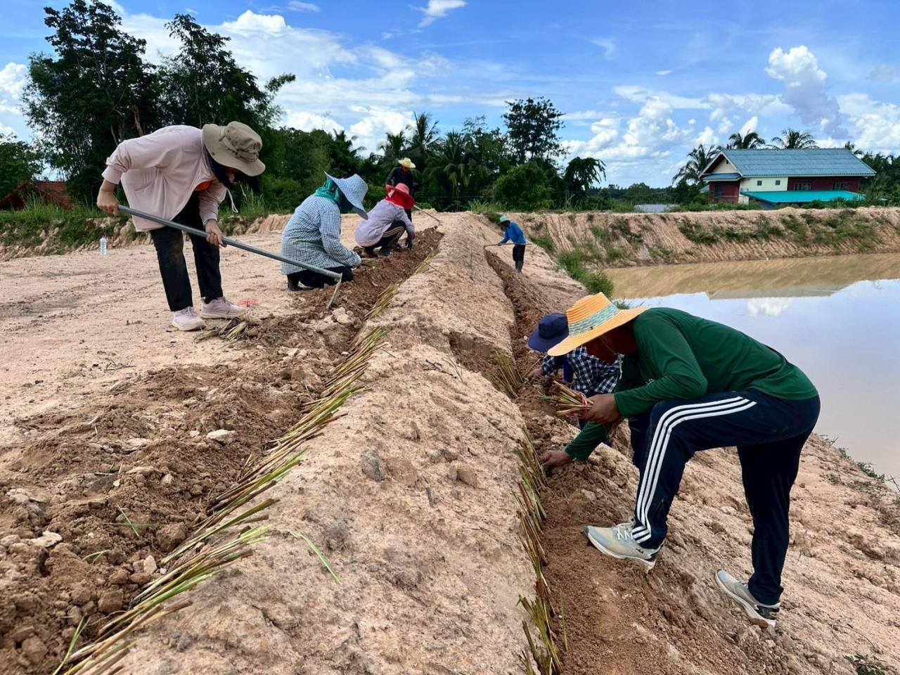 ภาพประกอบที่ 10