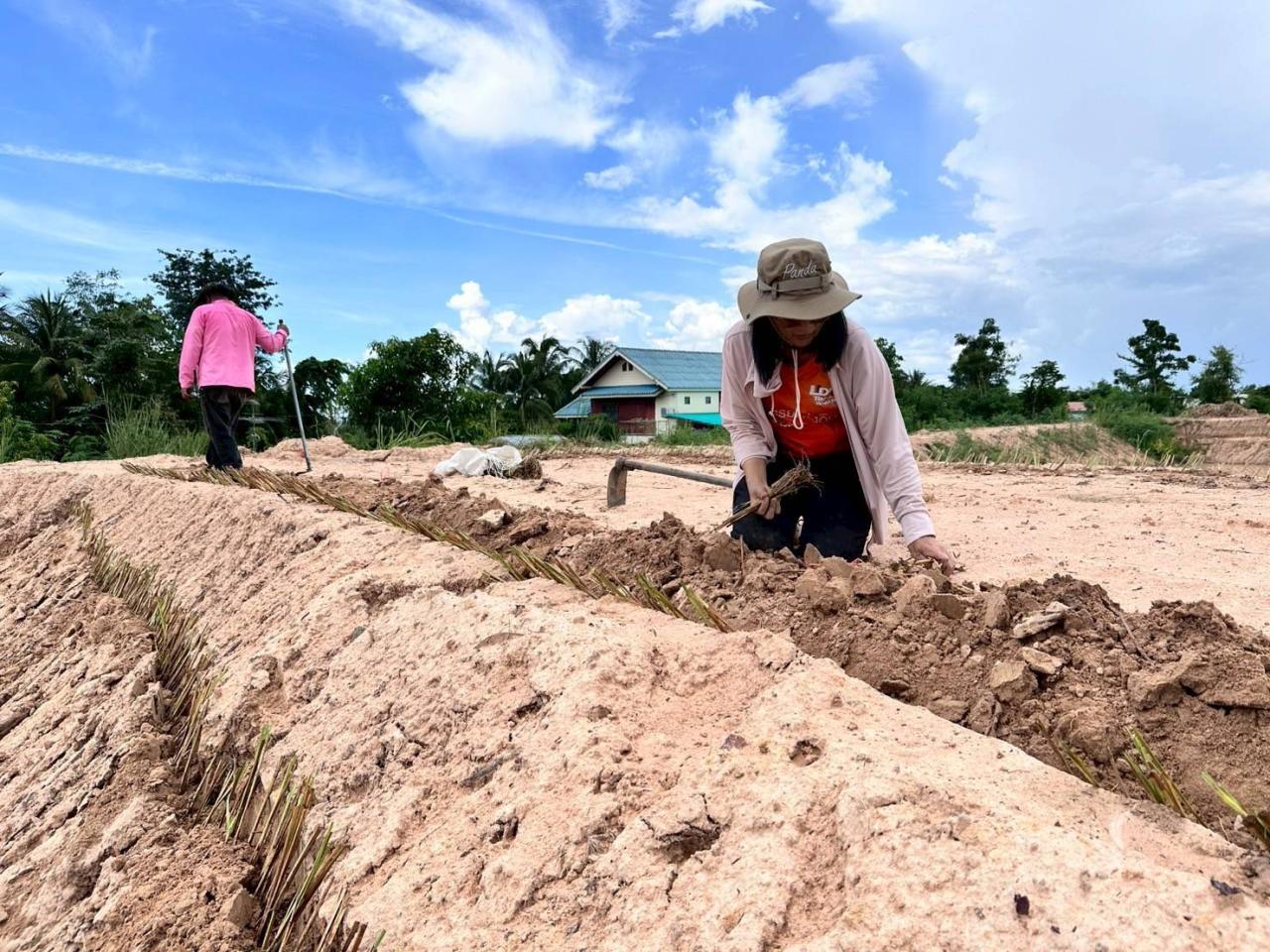 ภาพประกอบที่ 11