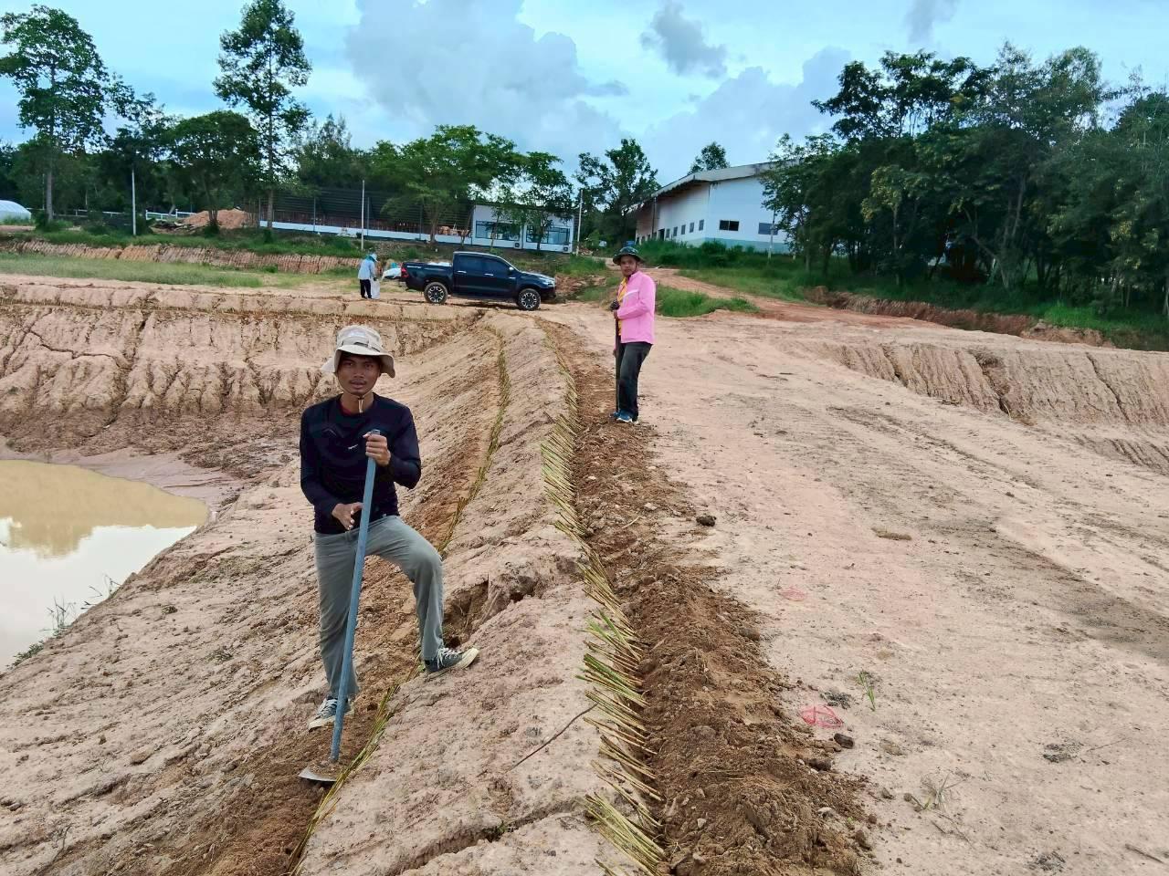 ภาพประกอบที่ 12