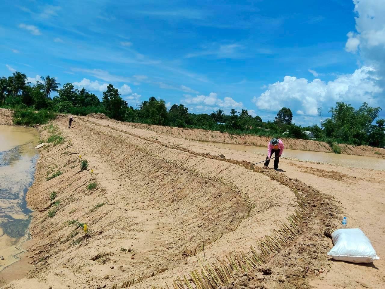 ภาพประกอบที่ 13