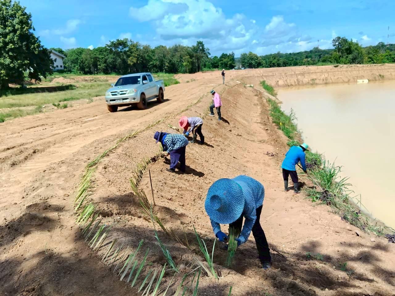ภาพประกอบที่ 15
