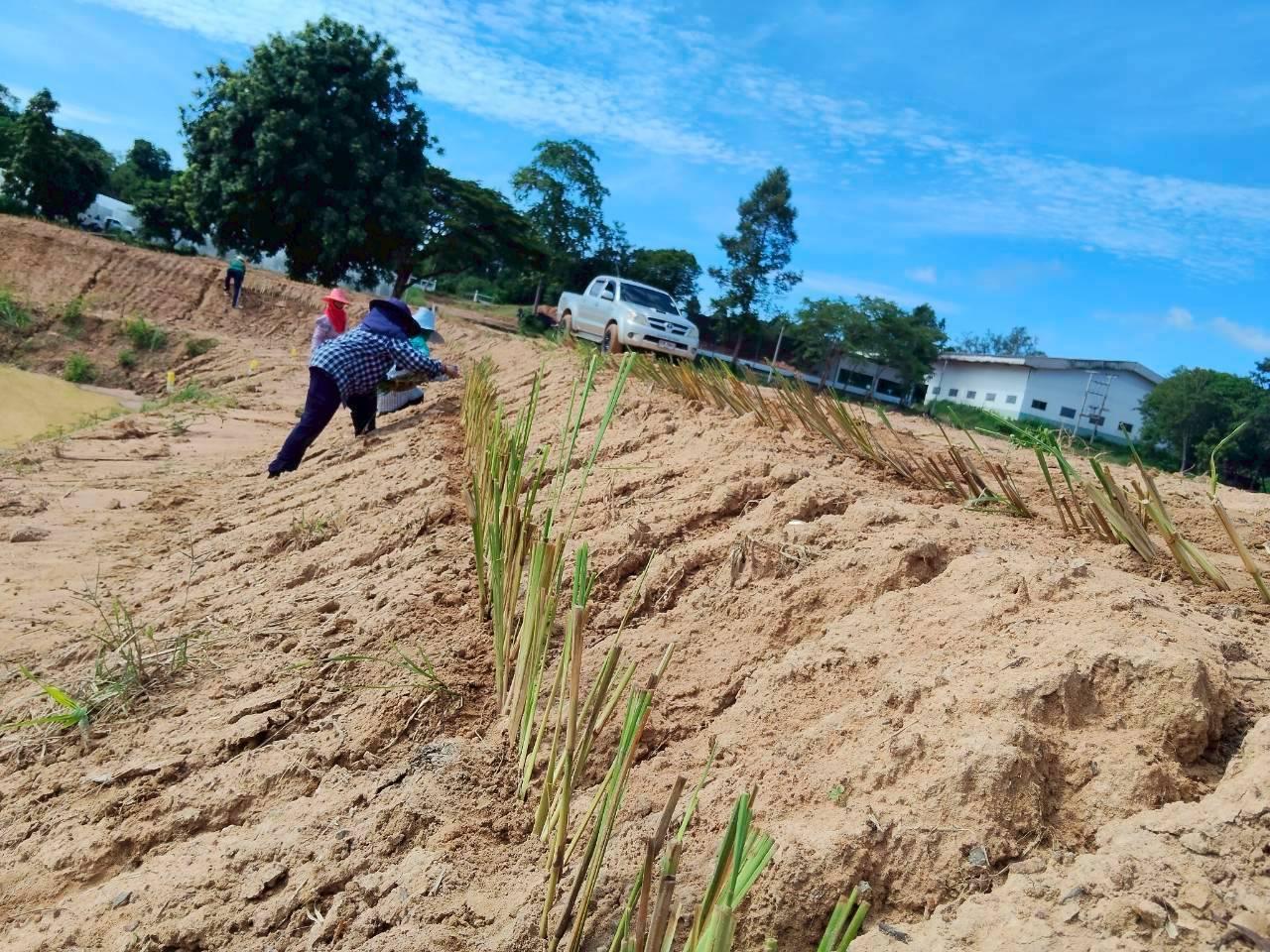 ภาพประกอบที่ 16