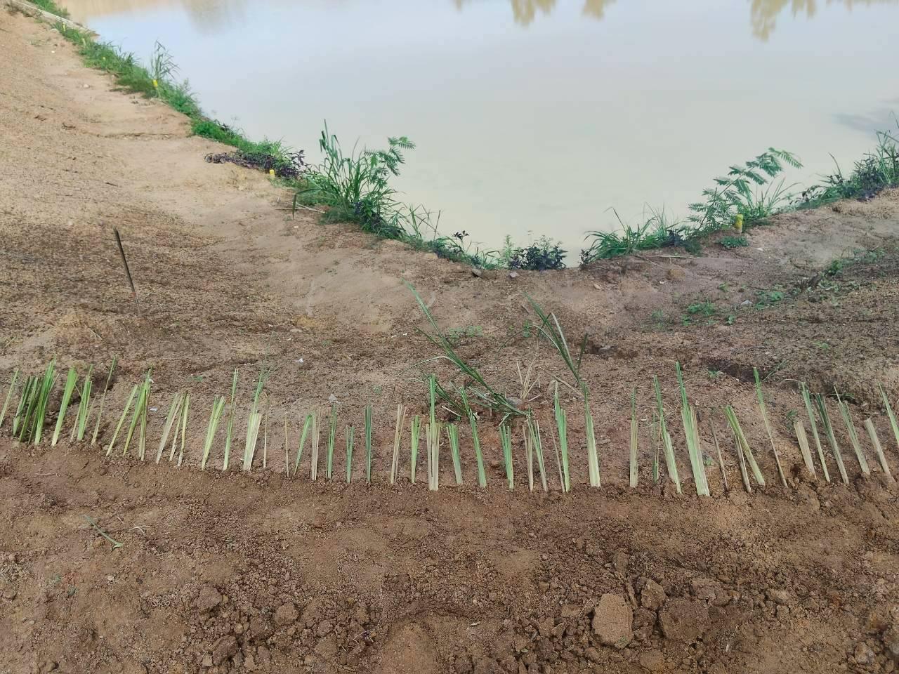 ภาพประกอบที่ 18