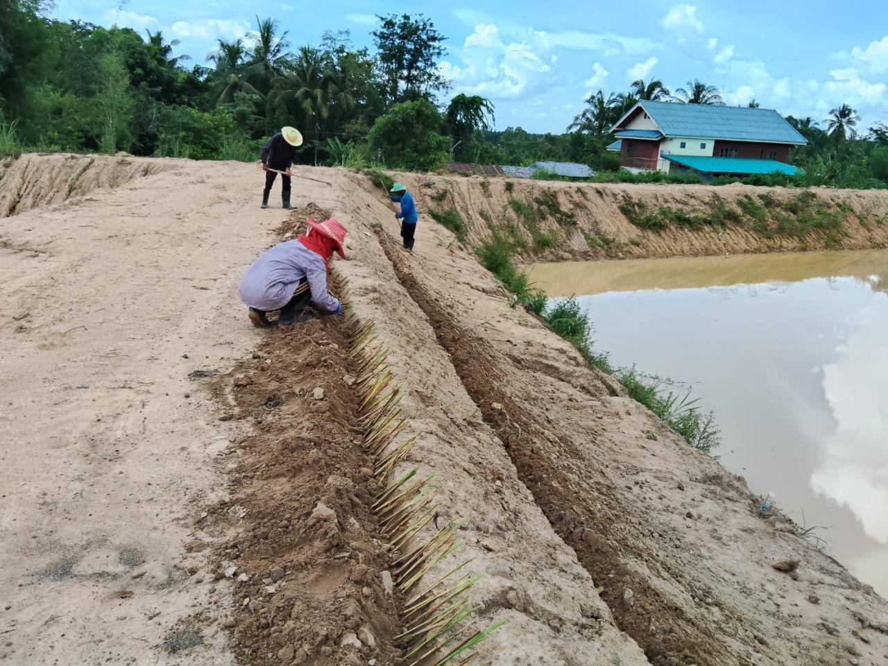ภาพประกอบที่ 21