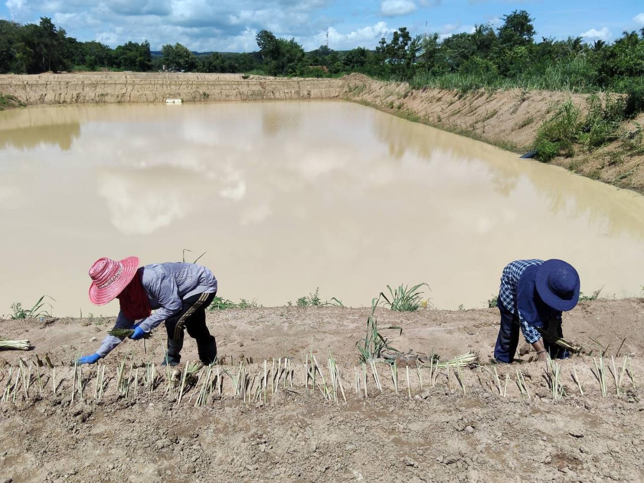 ภาพประกอบที่ 23