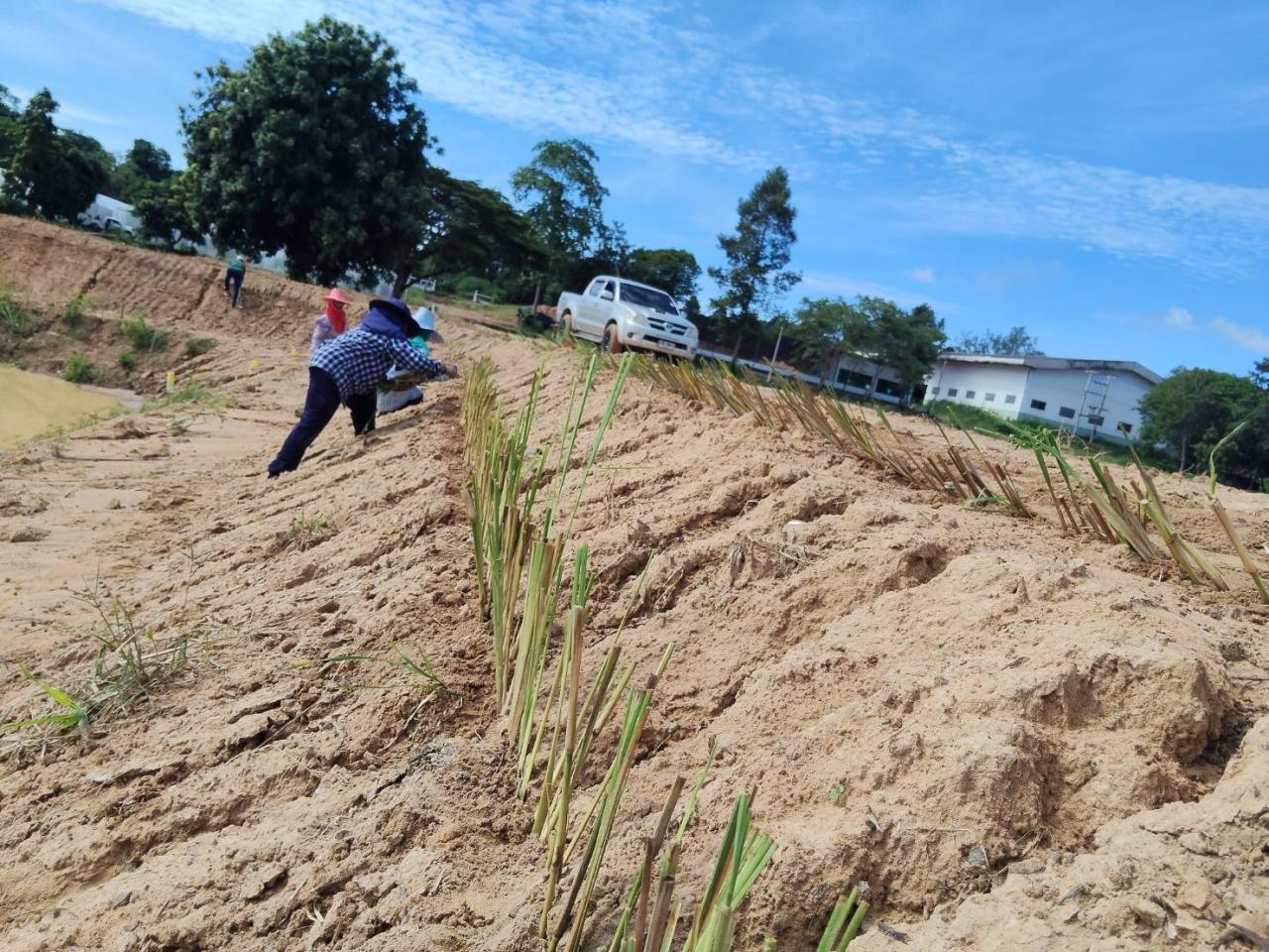 ภาพประกอบที่ 26