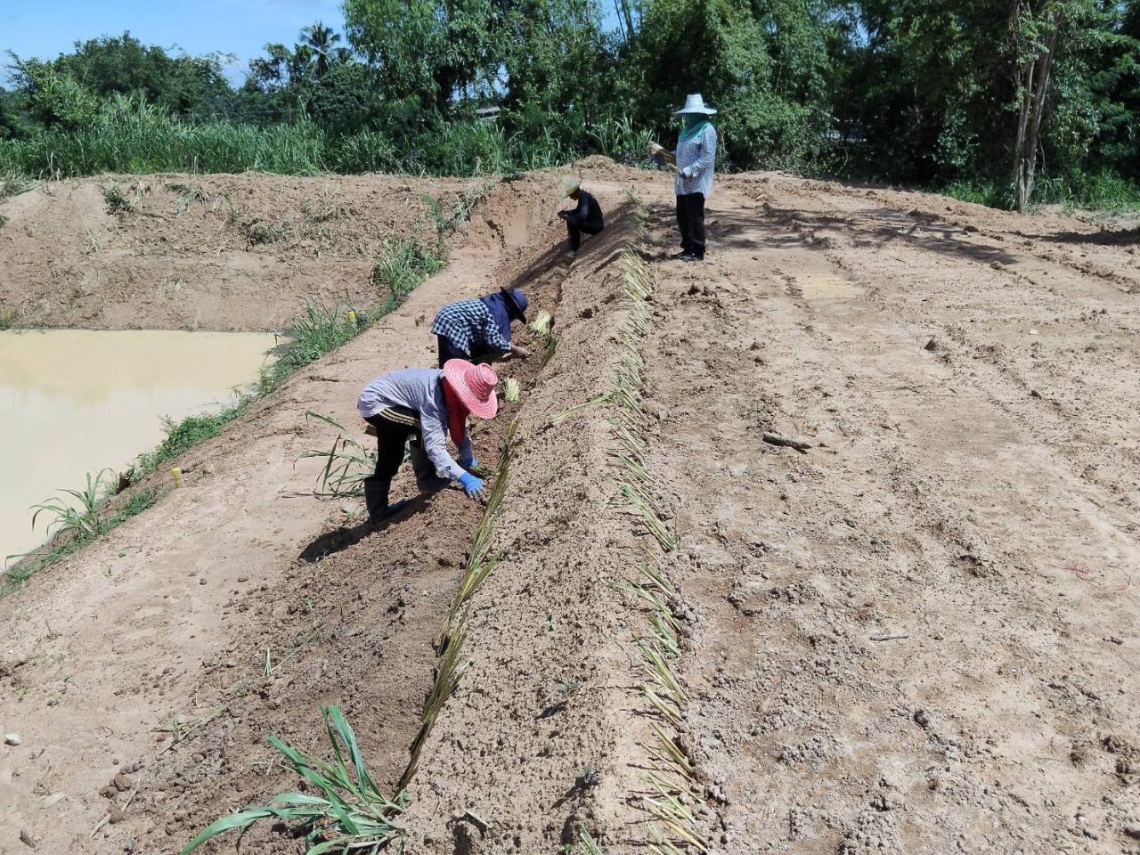 ภาพประกอบที่ 29