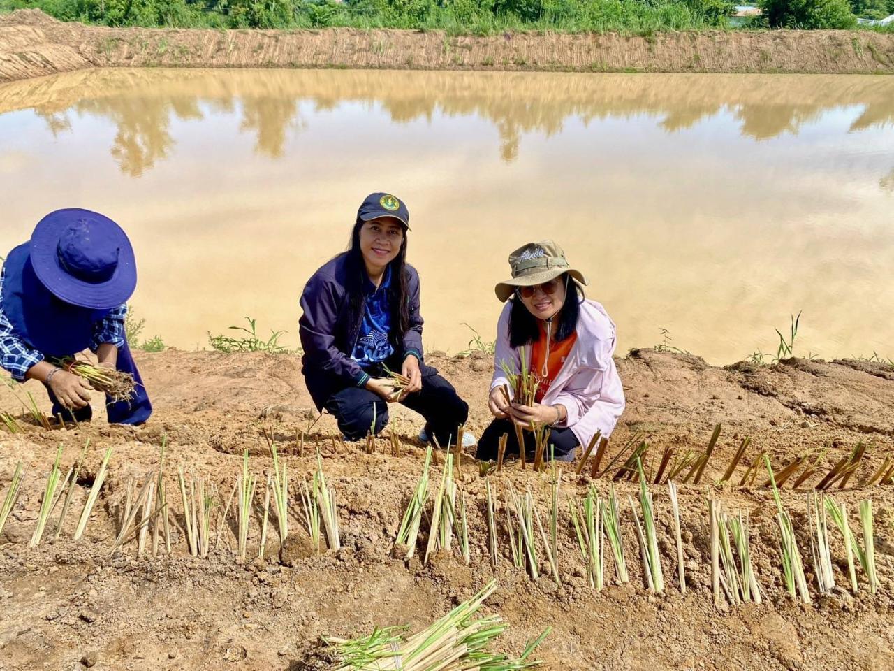 ภาพประกอบที่ 30