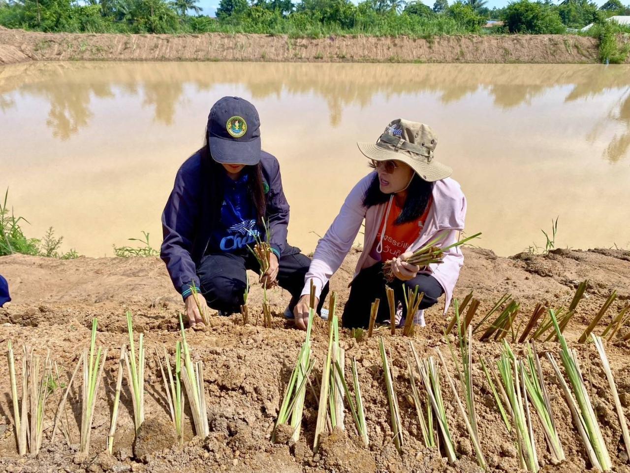 ภาพประกอบที่ 31