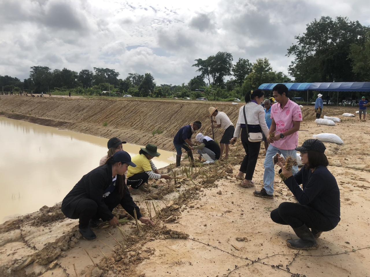 ภาพประกอบที่ 1