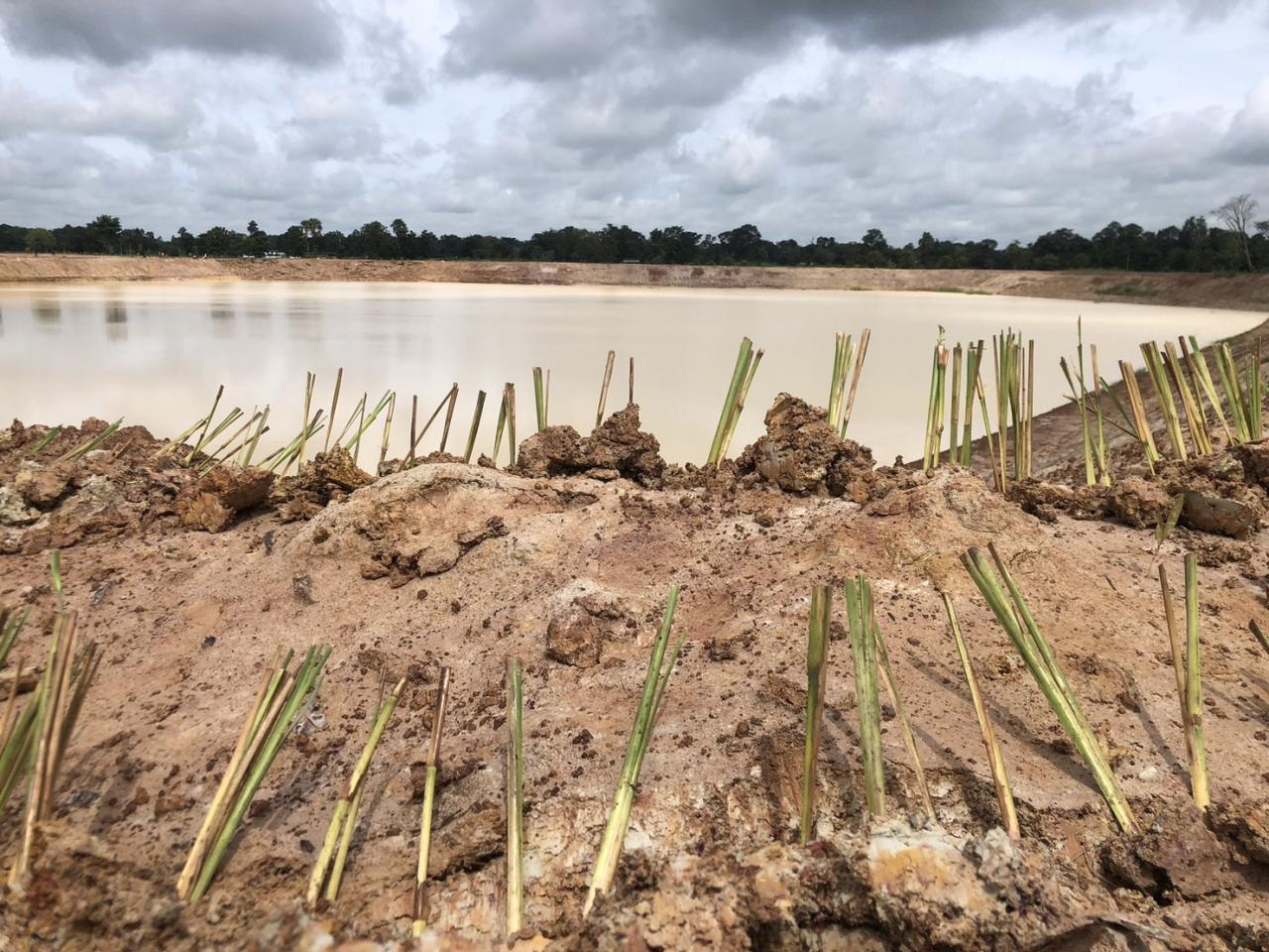 ภาพประกอบที่ 5
