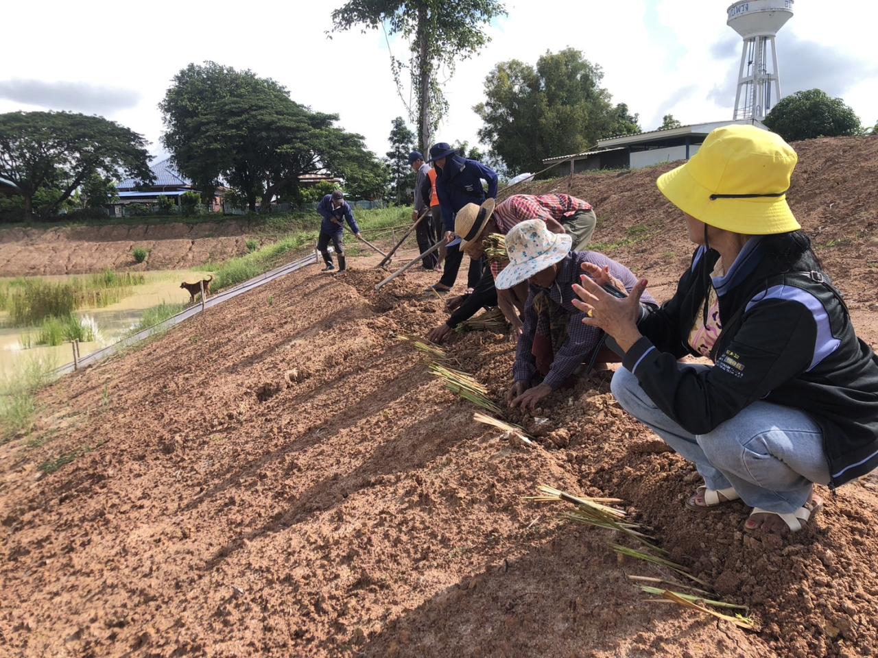 ภาพประกอบที่ 8