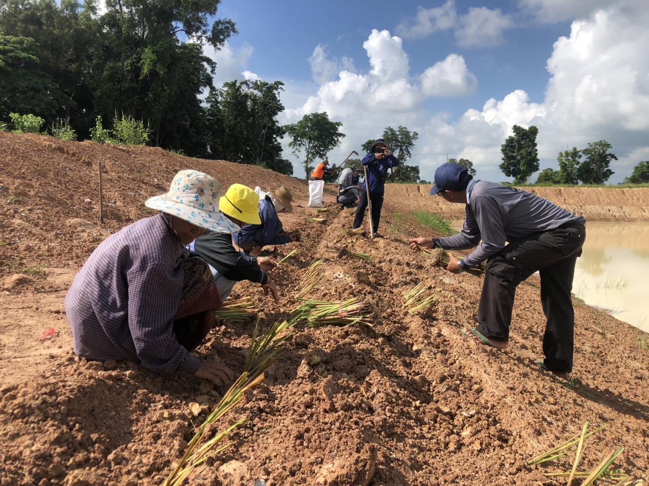 ภาพประกอบที่ 11