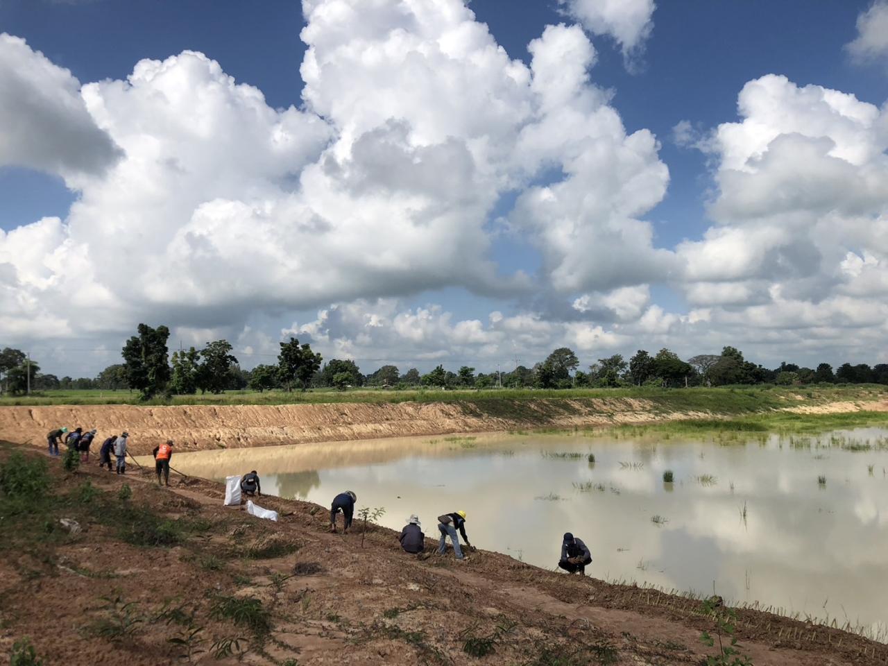 ภาพประกอบที่ 12