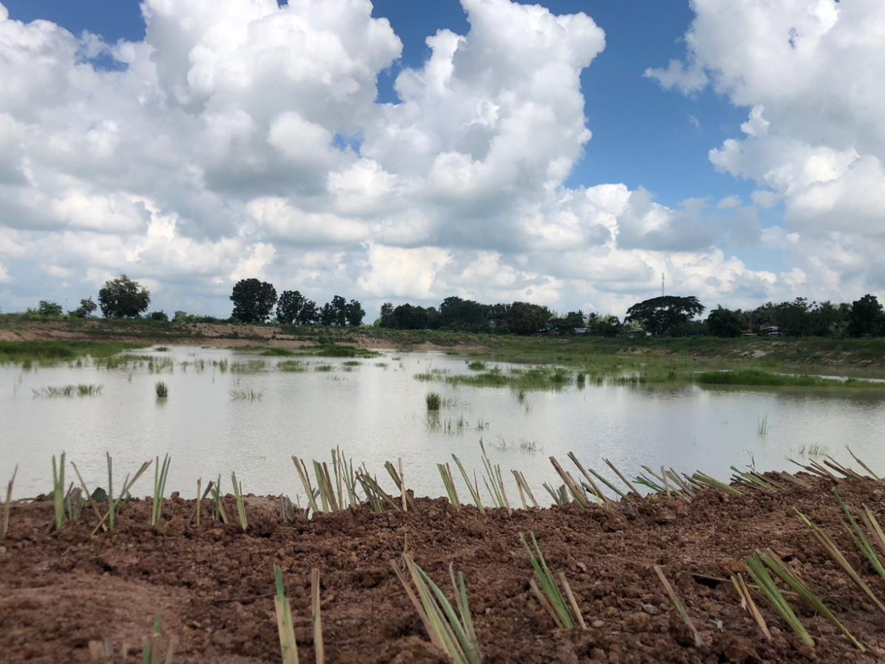 ภาพประกอบที่ 13