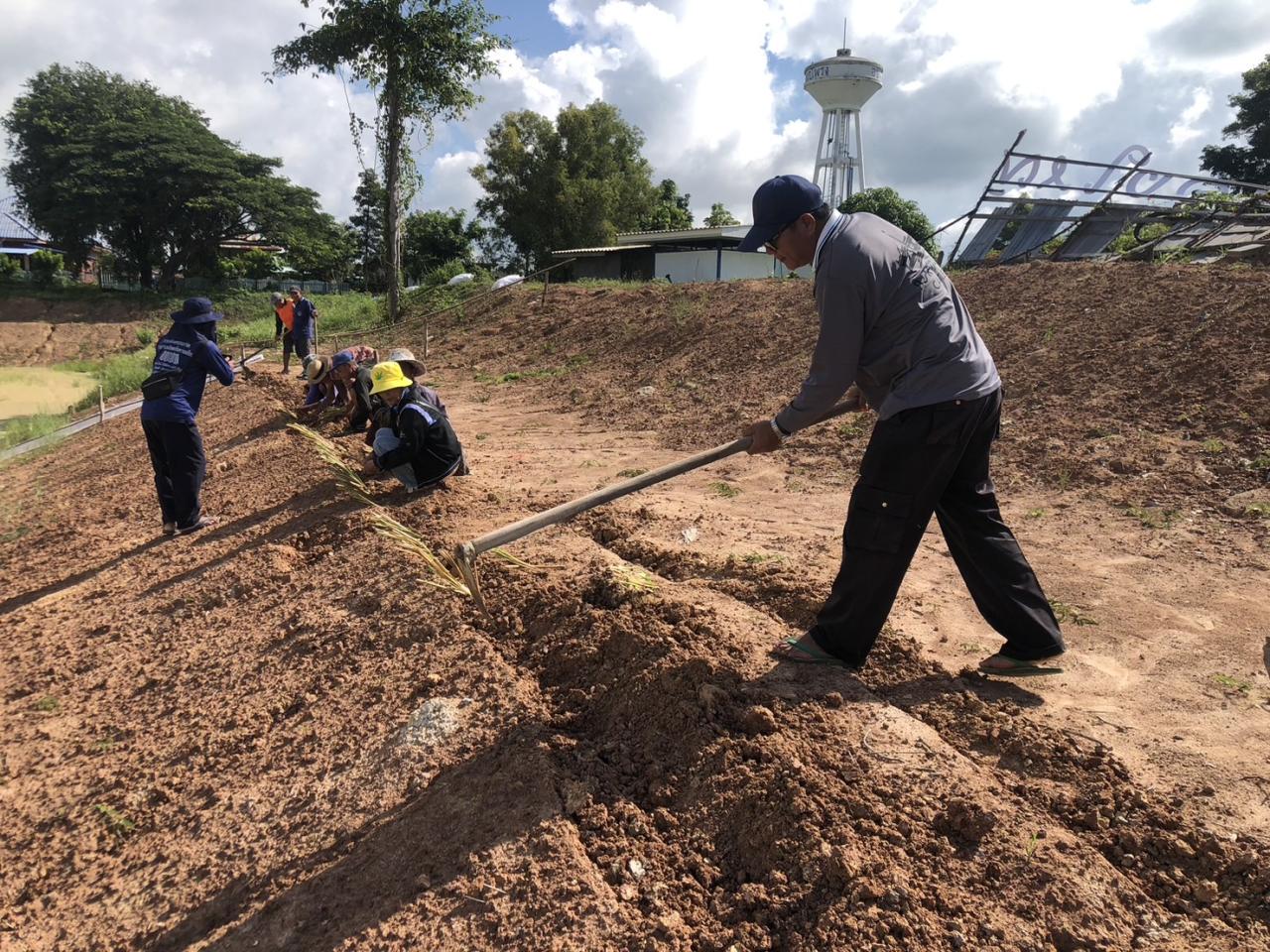 ภาพประกอบที่ 17
